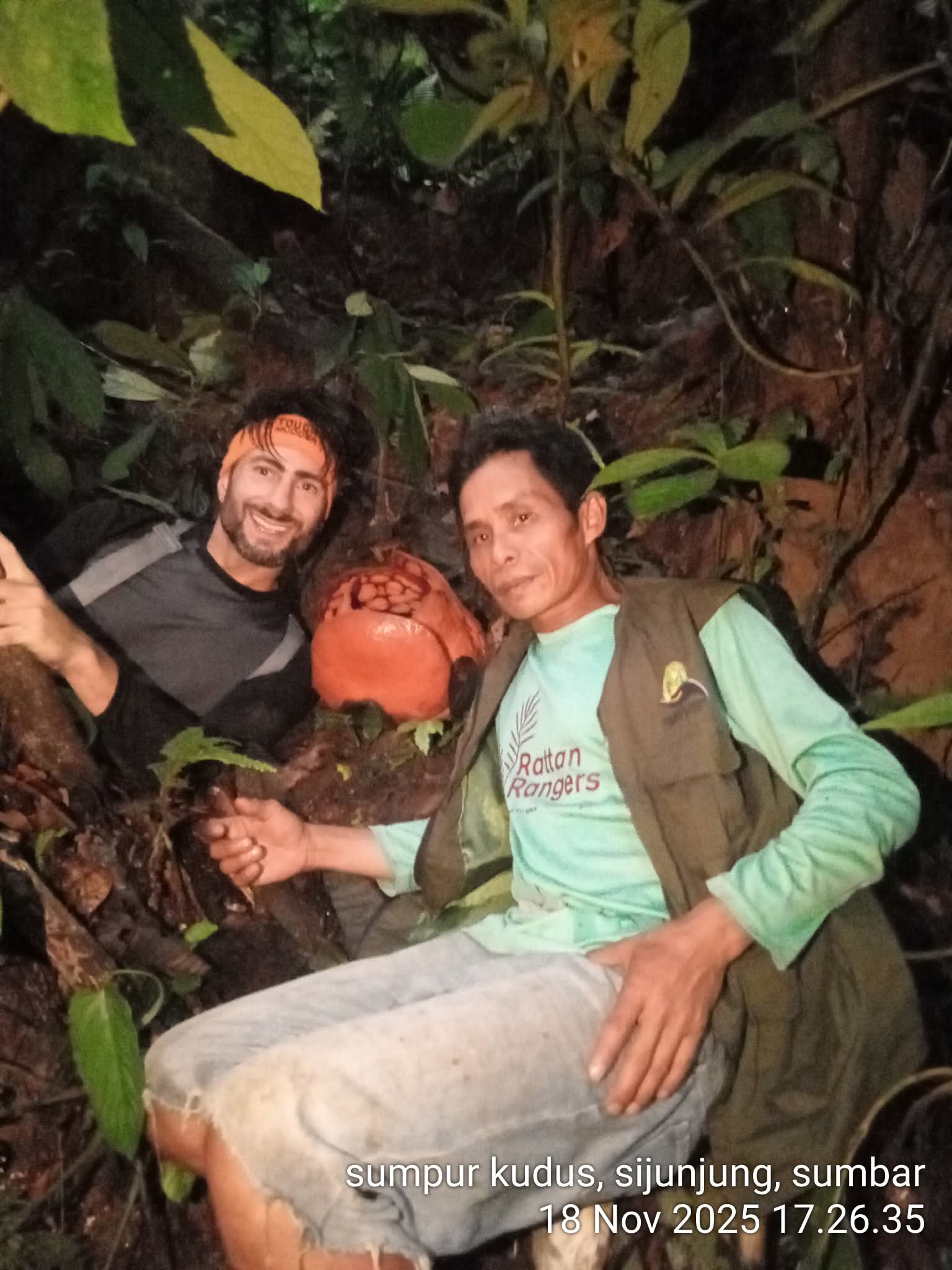 Rafflesia Hasselti 